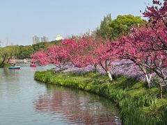 -圩墩遗址公园