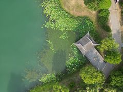 -尚湖风景区