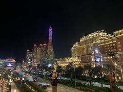 -澳门威尼斯人综合度假区