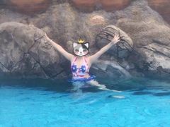 -重庆海昌加勒比海水世界
