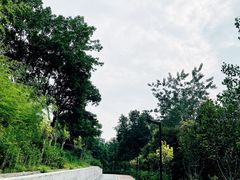 -大渡口区义渡公园