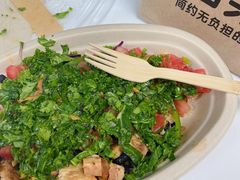 -油梨树 AVOCADO TREE(亮马桥店)