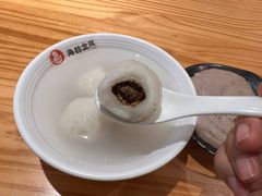 -海丝金凤(金鱼店)