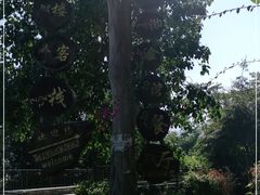 -傣泐金湾餐厅