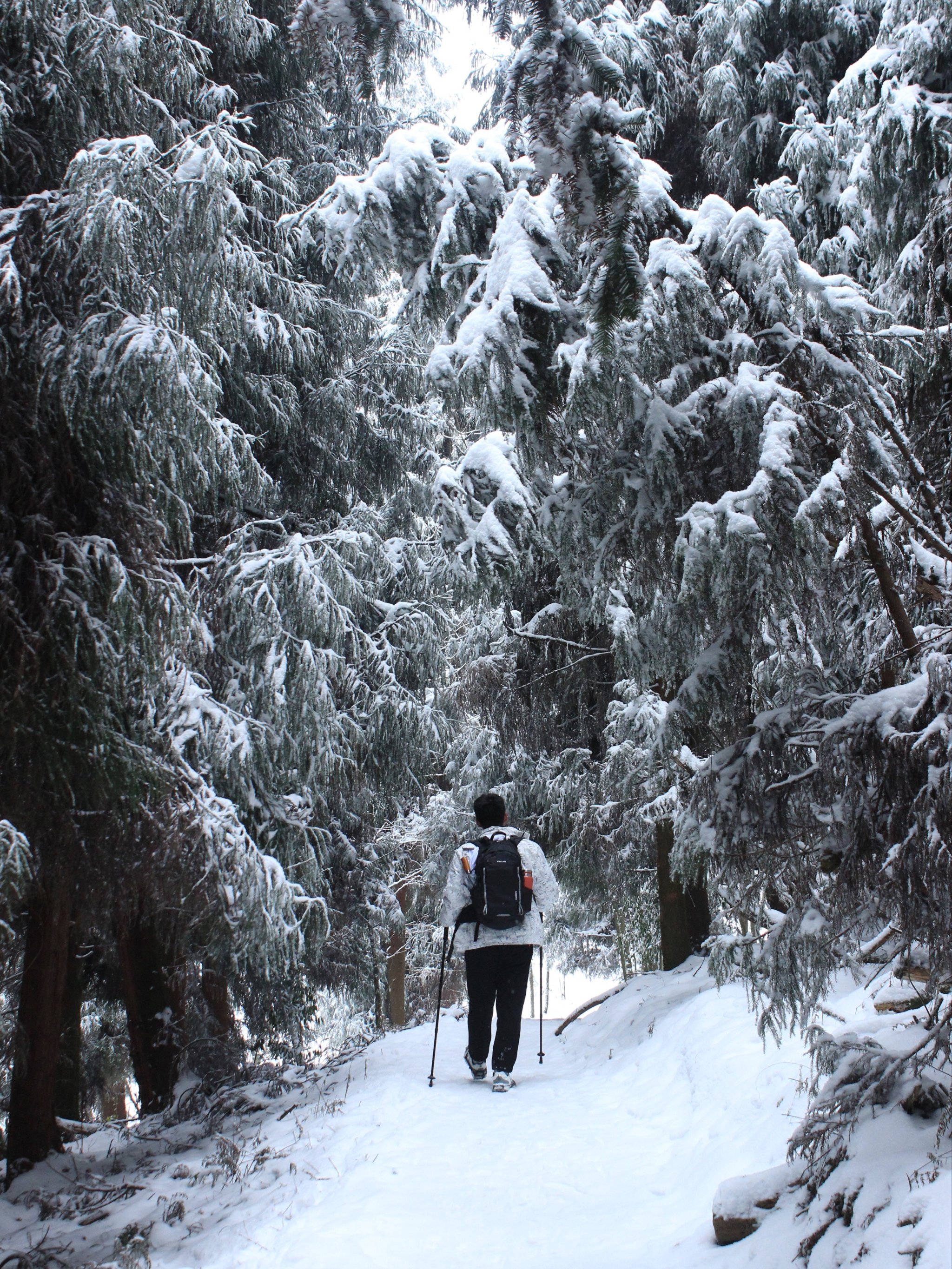 都江堰玩雪图片