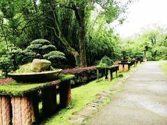 -武夷山风景名胜区-玉女峰