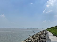 -海鸥岛河景湖大排档