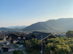 -大唐贡茶院
