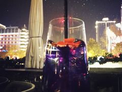 -STARRY CAFE & LOUNGE BAR(高新店)