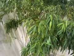 -王阳明故居