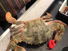 螃蟹（赤甲红）-乔哥铭洋海鲜自助(皇城恒隆广场店)