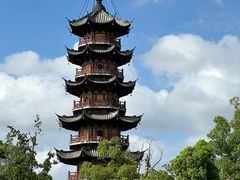 -龙华素斋(龙华路店)