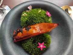 -觀芷隐轩