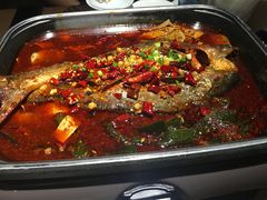 -龙门烤鱼(东方宝泰店)