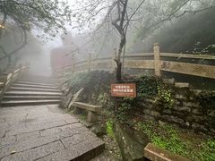 -普陀山风景区-佛顶山