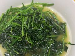 -紫阳富豪大酒店(惠南店)