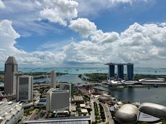 -新加坡瑞士史丹福酒店