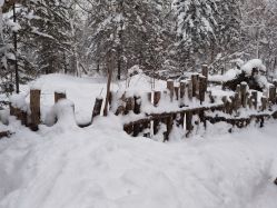 -大秃顶子山