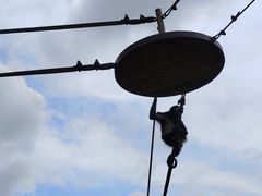 -上海野生动物园