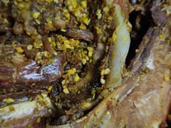 -火刻北京烤鸭(市北区·鲍岛市场店)