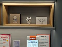 -科大讯飞直营店(上海月星环球港)