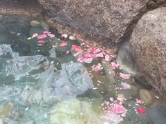 -黄山温泉国际旅游度假区