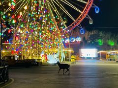 -大连森林动物园