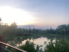 -桤木河湿地公园