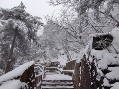 -黄山风景区