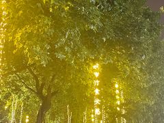 -金龙咖喱