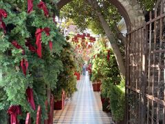 -The Grounds of Alexandria