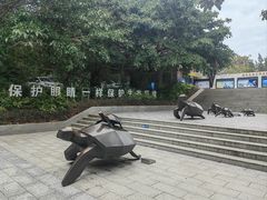 -广东惠东海龟国家级自然保护区