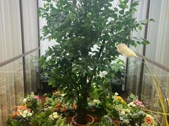 -江上江·精致淮扬菜