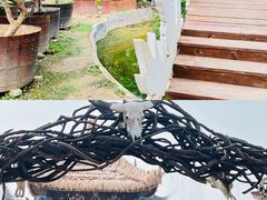 -呀路古热带植物园