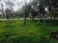 -商丘市人民公园