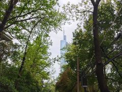 -北极阁公园