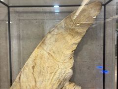 -陶然轩(沙面店)