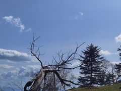 -老秃顶草原景区