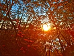-五女山景区