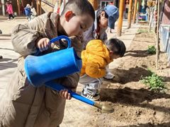 -世纪飞马幼儿园(西城校区)