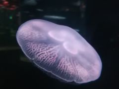 -聊城海底世界