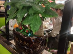 -美膳居川菜馆油焖大虾烧烤(卓刀泉店)