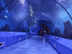-重庆欢乐海底世界