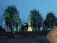 -东南花都花博园