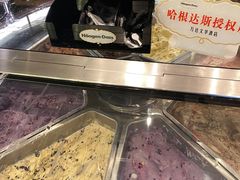 哈根达斯-长春富力万达文华酒店-集·味自助餐厅