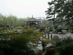 android_upload_pic-中国唐苑