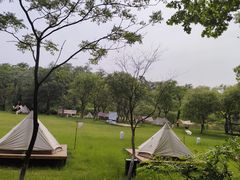 -宜兴龙背山森林公园