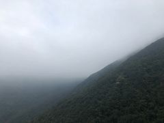 -银瓶嘴森林公园