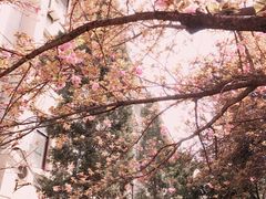 -西安交通大学(雁塔校区)