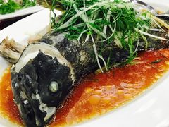 -深圳维景酒店-维景轩